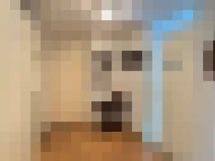 Panhuisstraat 7 Venlo thumbnail 4