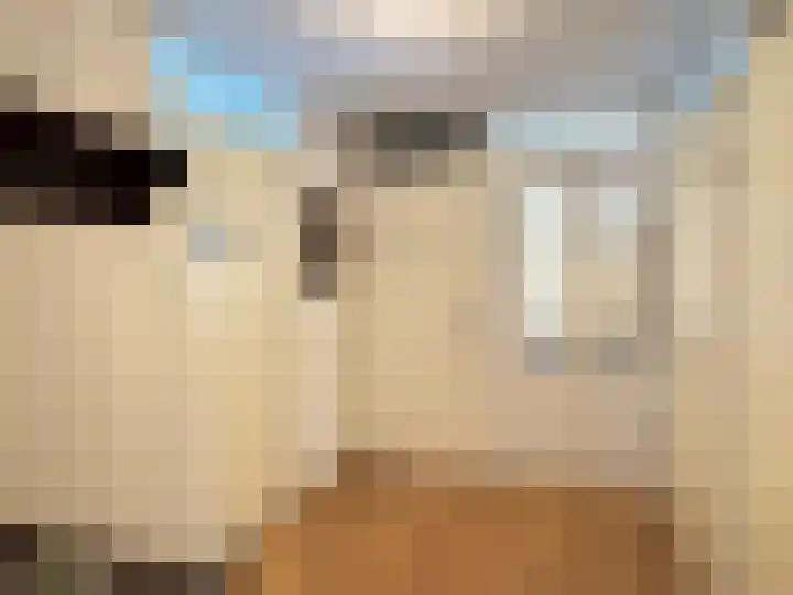 Panhuisstraat 7 Venlo thumbnail 5