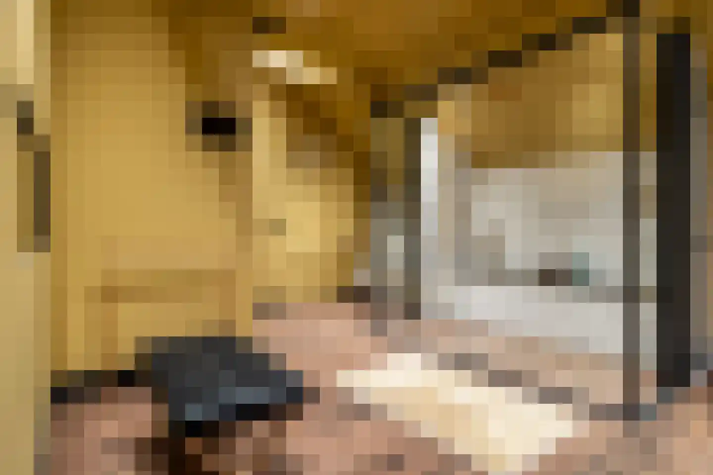 Panhuisweg 59 Wijchen thumbnail 43