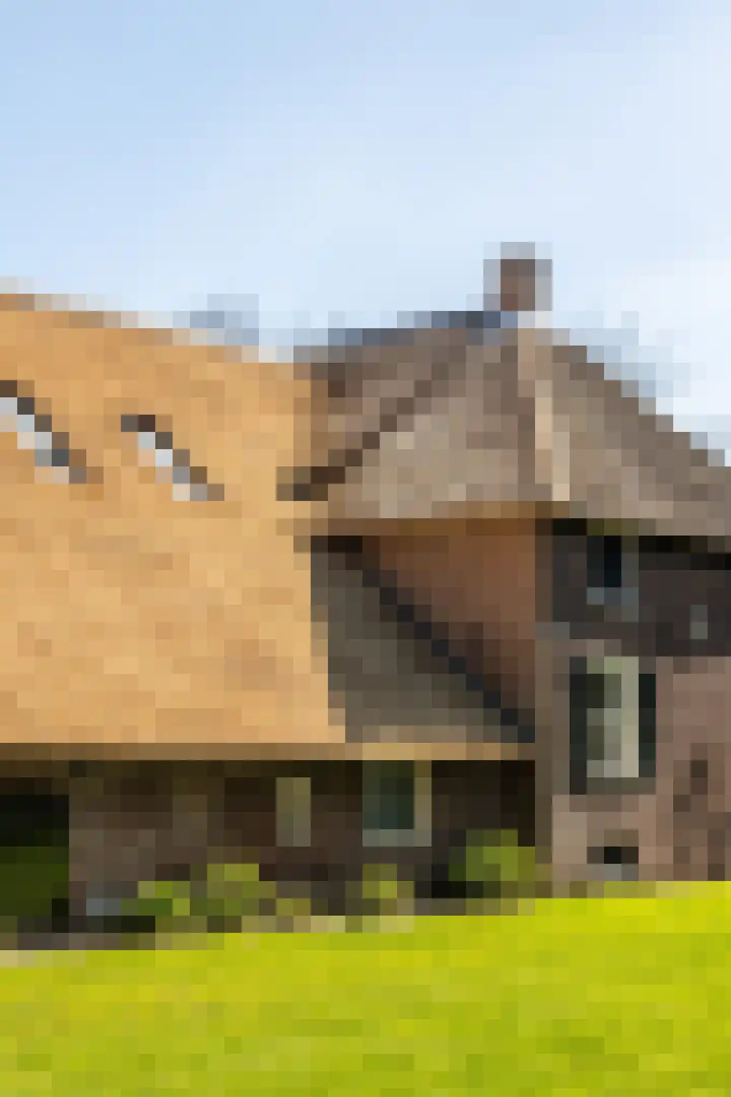 Panhuisweg 59 Wijchen thumbnail 60
