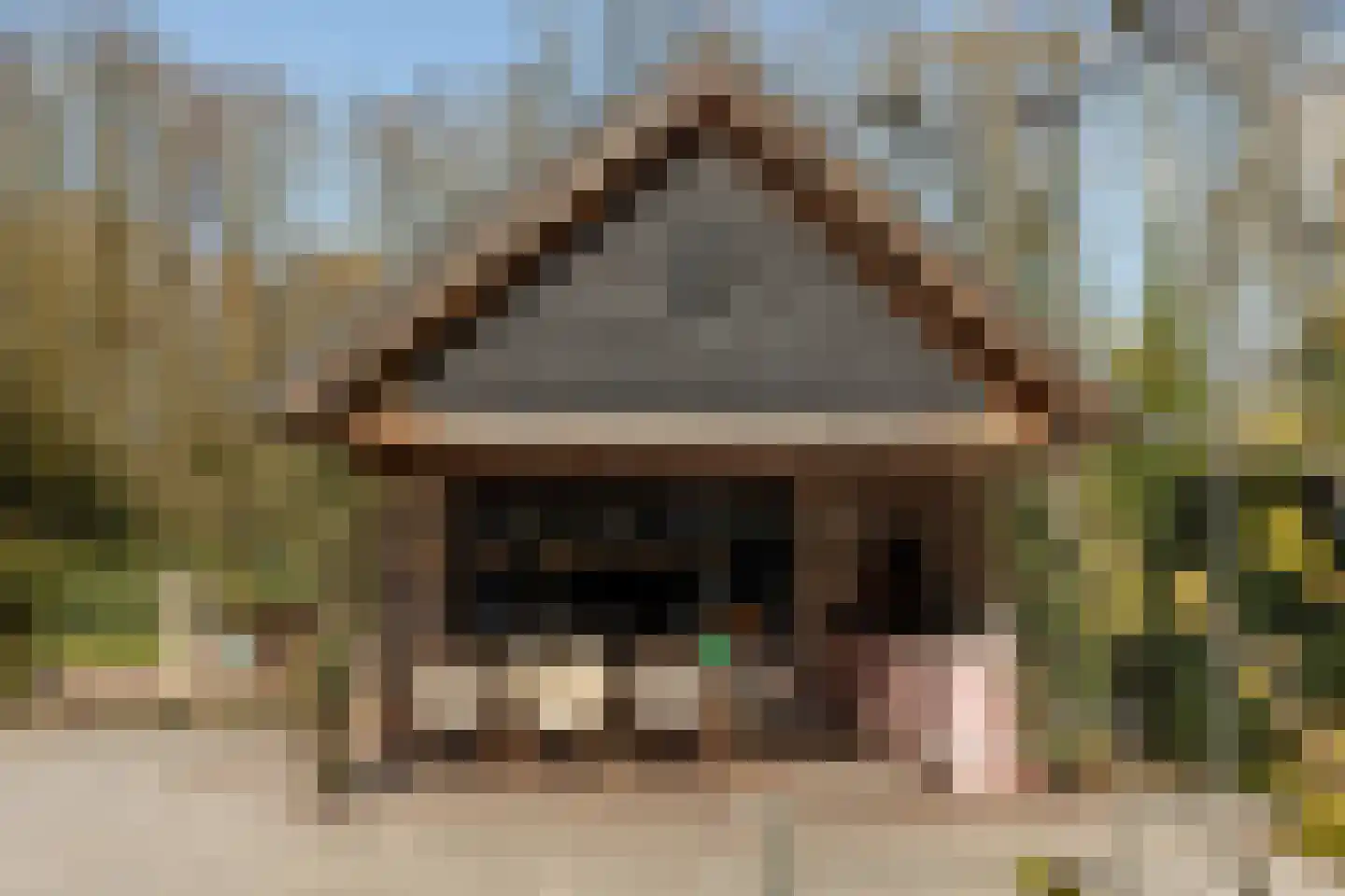 Panhuisweg 59 Wijchen thumbnail 63