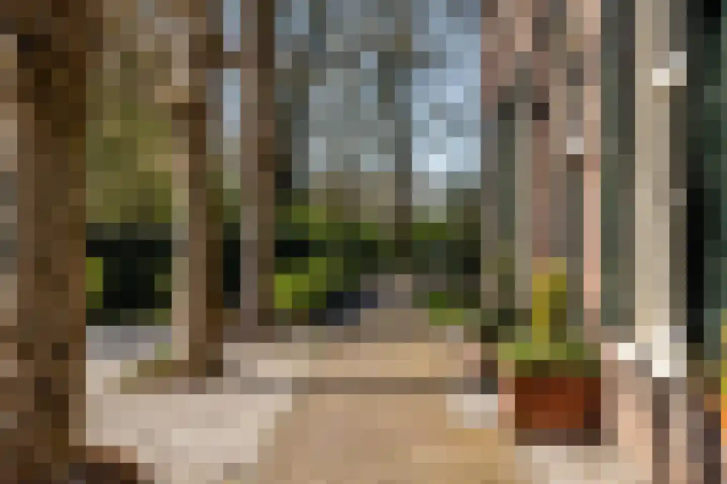 Panhuisweg 59 Wijchen thumbnail 77