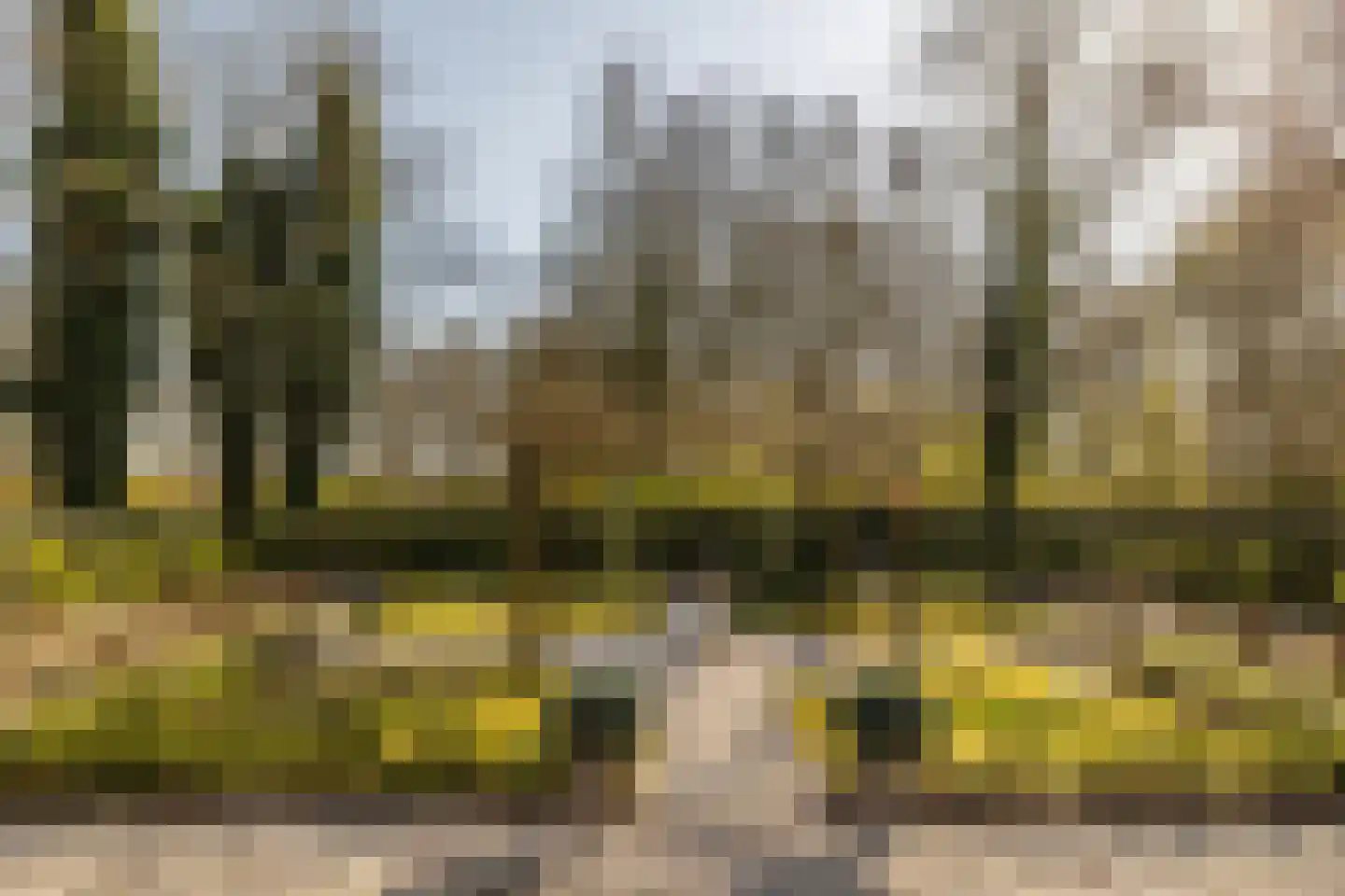 Panhuisweg 59 Wijchen thumbnail 80