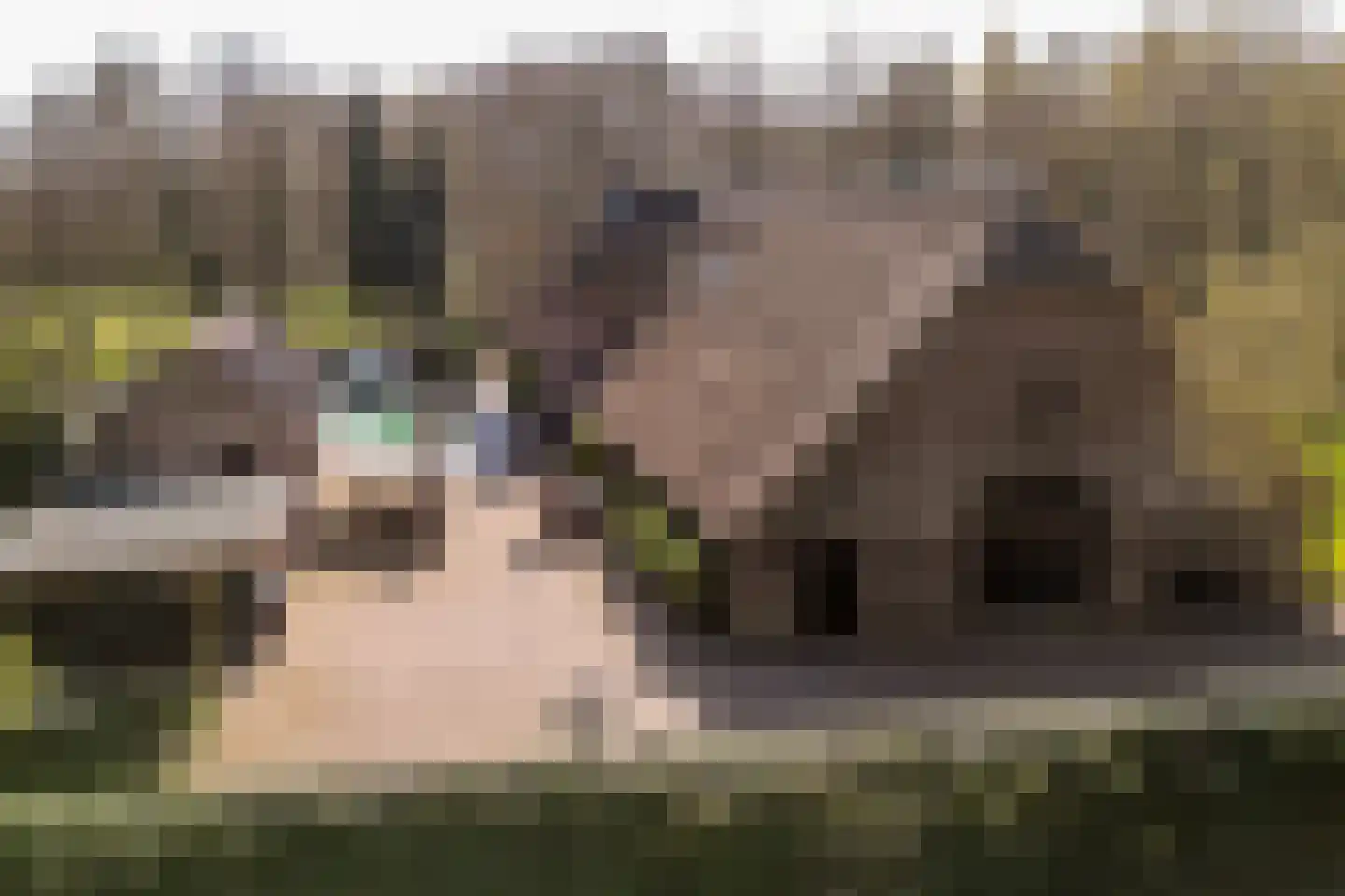 Panhuisweg 59 Wijchen thumbnail 86