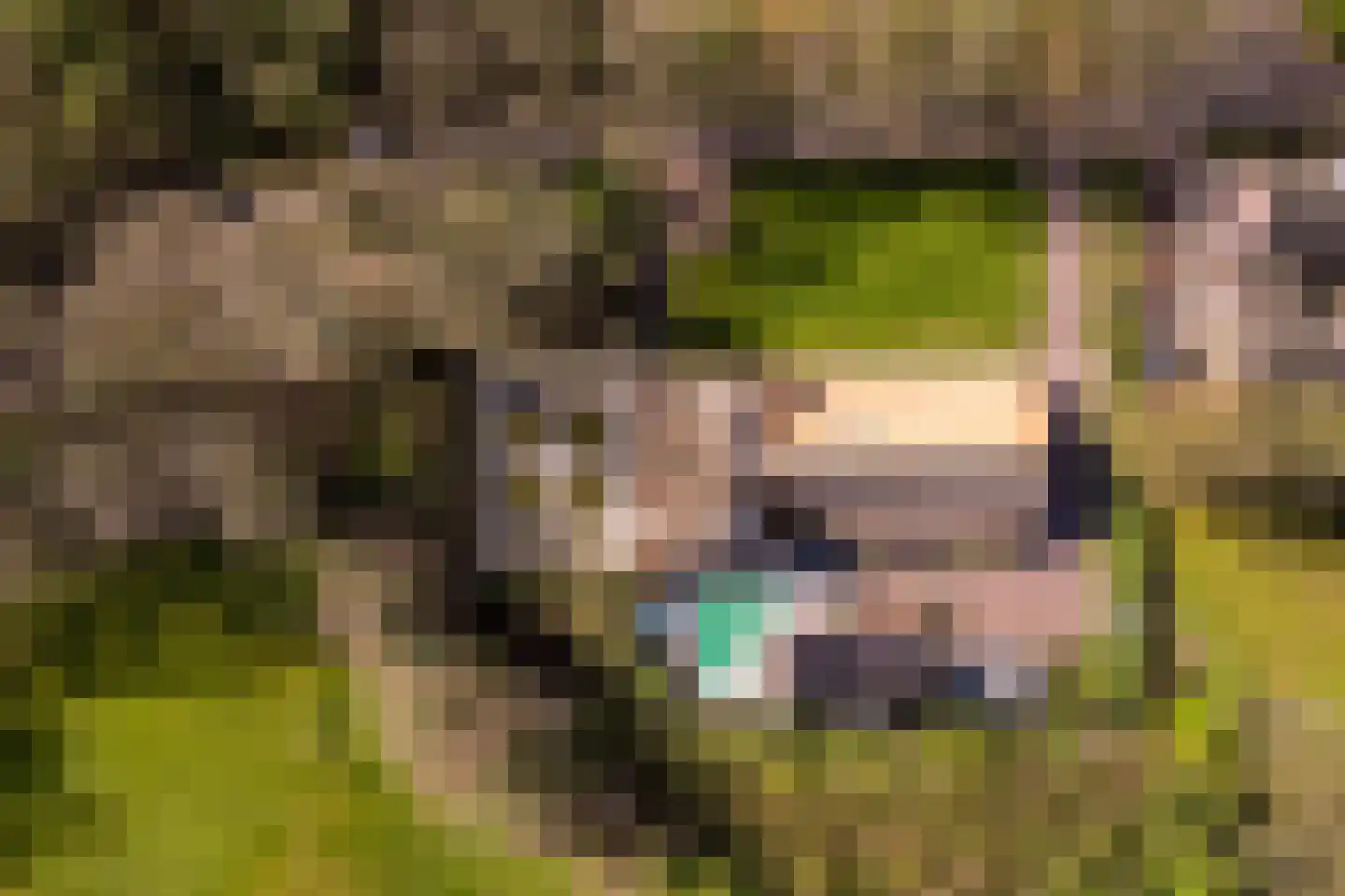 Panhuisweg 59 Wijchen thumbnail 87