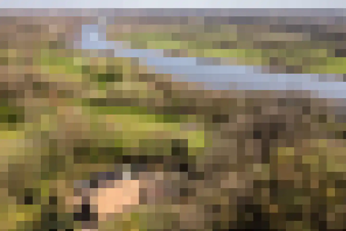 Panhuisweg 59 Wijchen thumbnail 89