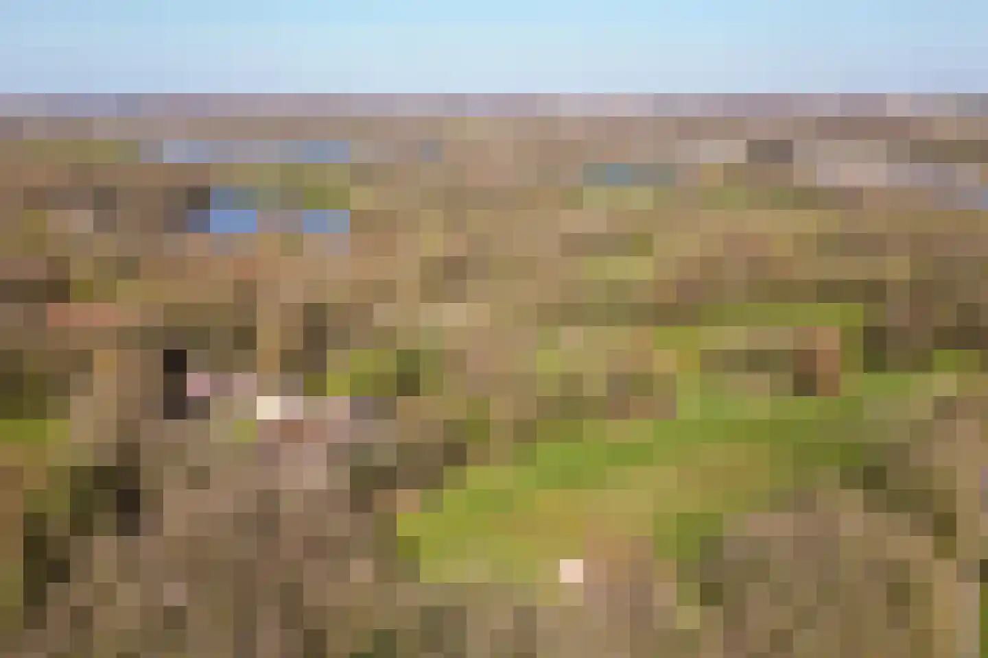 Panhuisweg 59 Wijchen thumbnail 91
