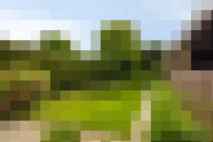 Panhuisweg 6 Hulsberg thumbnail 22