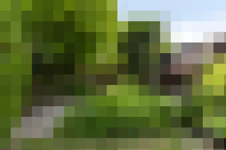 Panhuisweg 6 Hulsberg thumbnail 23