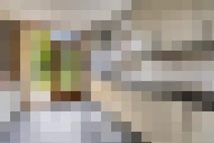 Panhuisweg 6 Hulsberg thumbnail 8