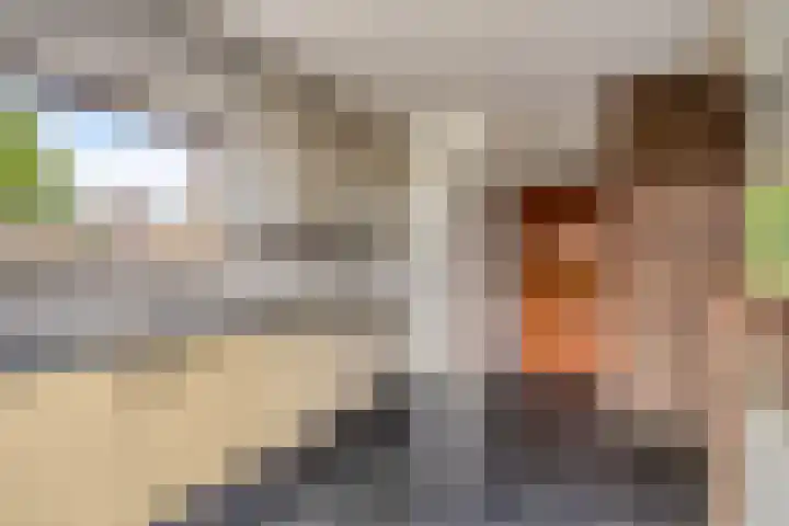 Panhuisweg 6 Hulsberg thumbnail 9