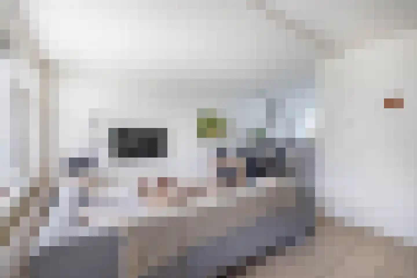 Pankenstraat 29 Eersel thumbnail 14