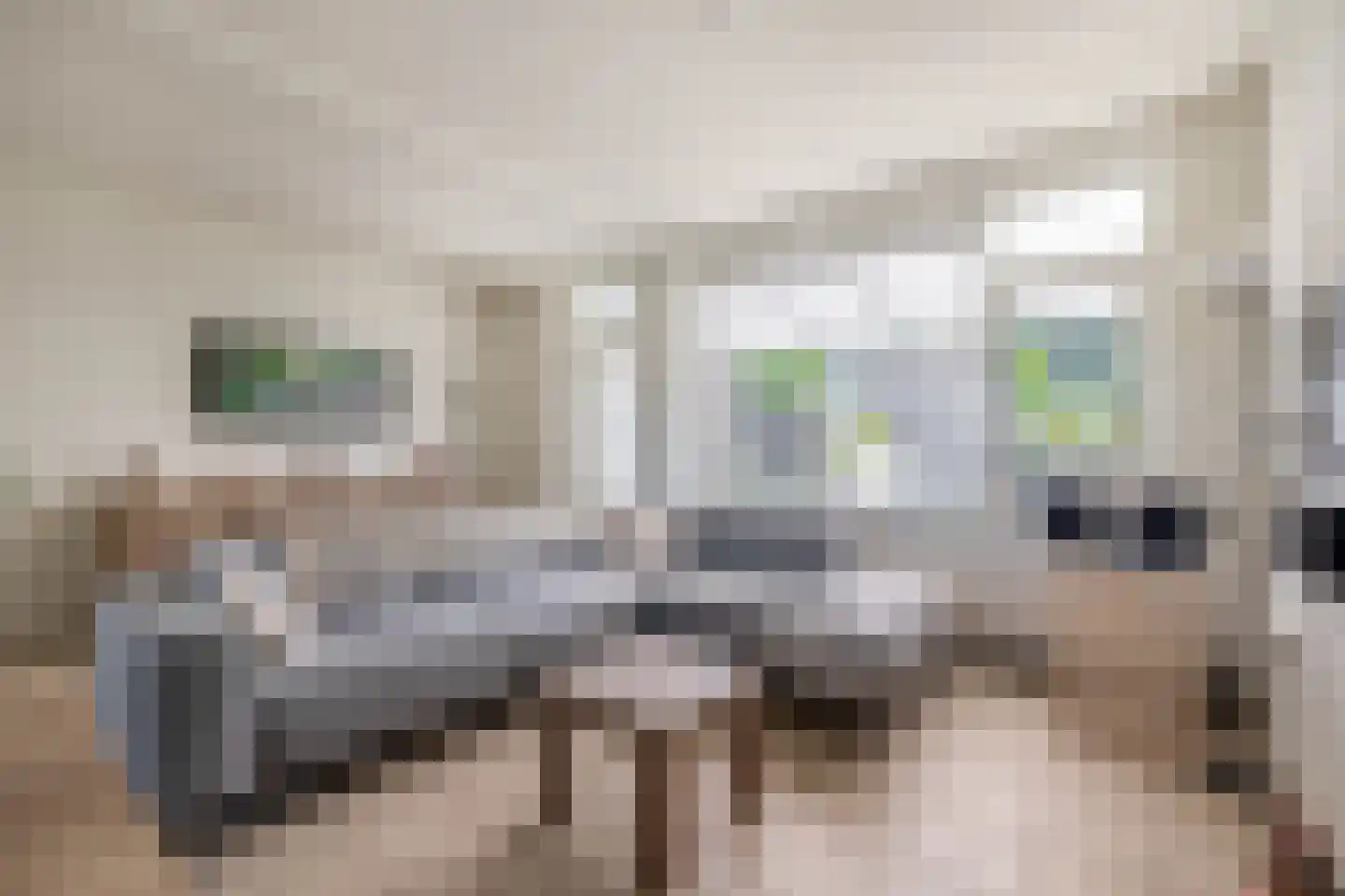 Pankenstraat 29 Eersel thumbnail 18