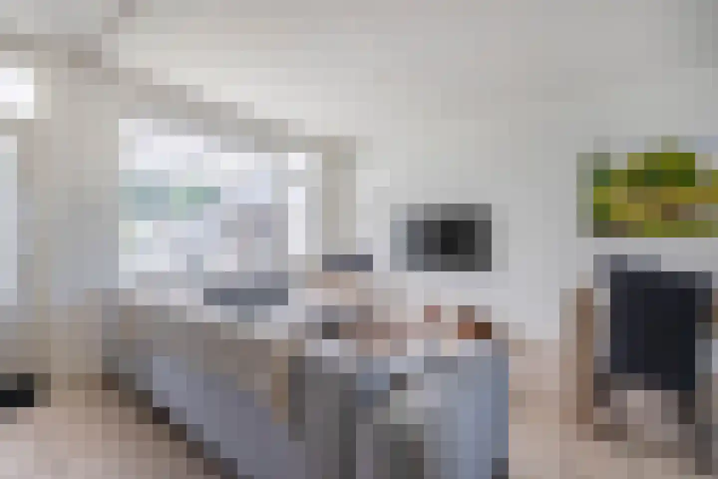 Pankenstraat 29 Eersel thumbnail 20