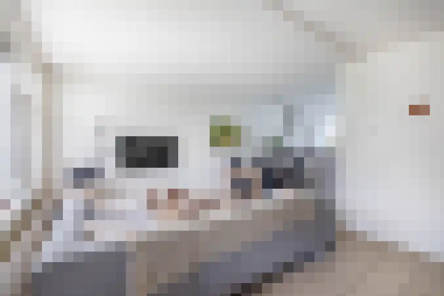 Pankenstraat 29 Eersel thumbnail 21