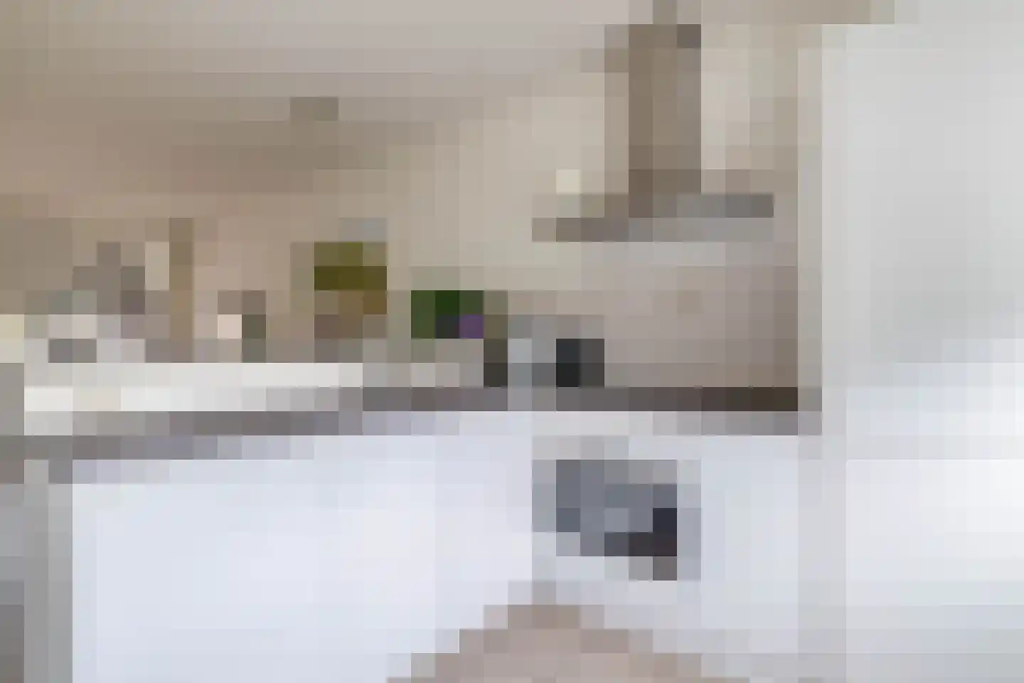 Pankenstraat 29 Eersel thumbnail 4