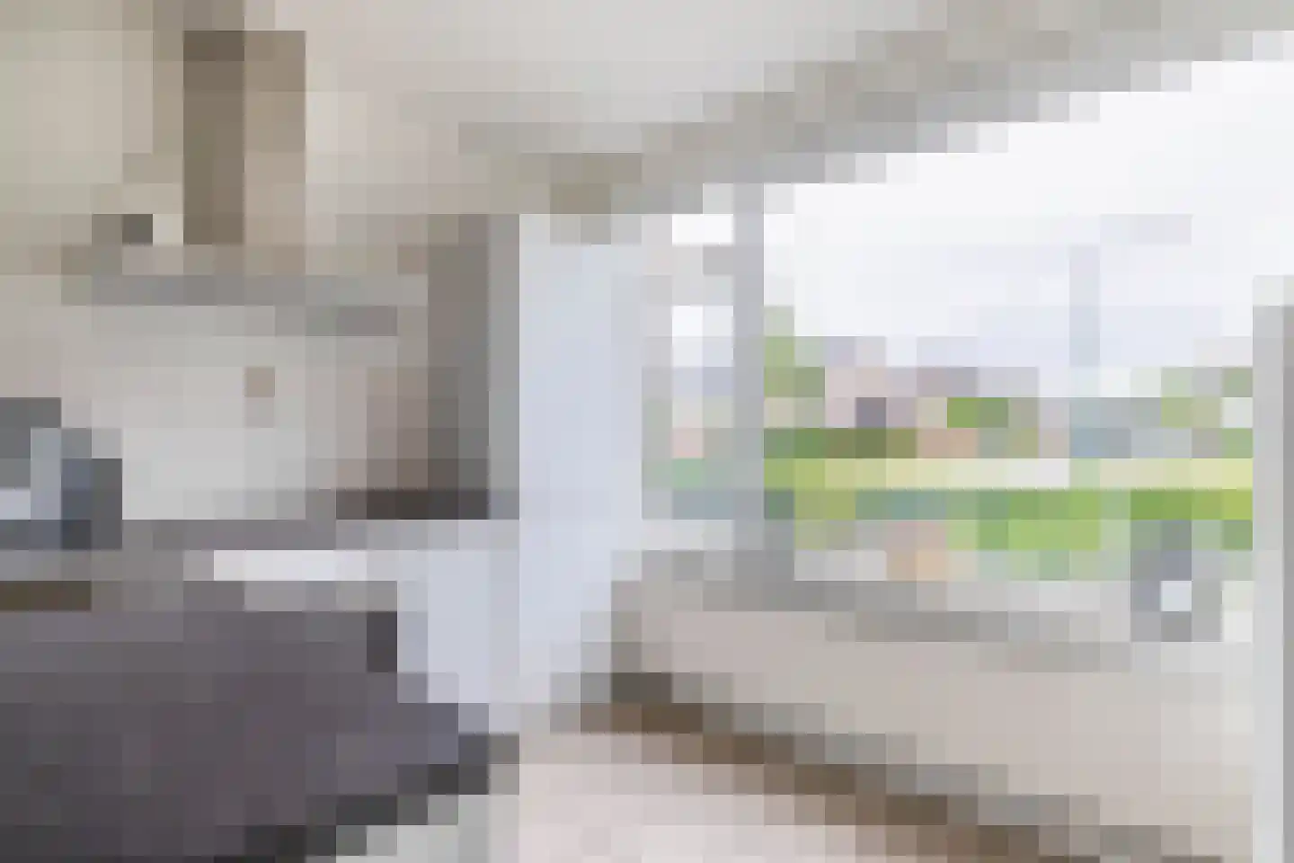 Pankenstraat 29 Eersel thumbnail 6