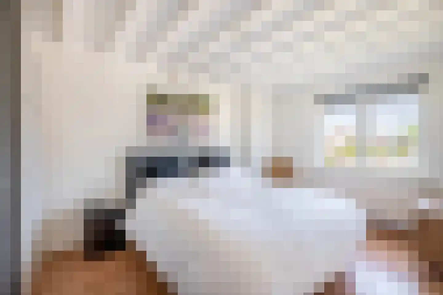 Pankenstraat 29 Eersel thumbnail 7