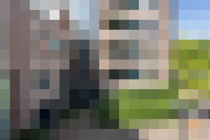 Panneboeter 13 Roosendaal thumbnail 16