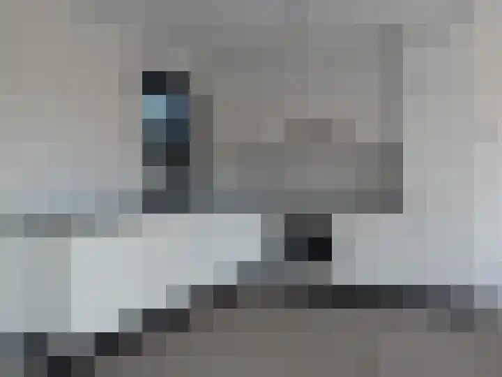 Panneboeter 13 Roosendaal thumbnail 9
