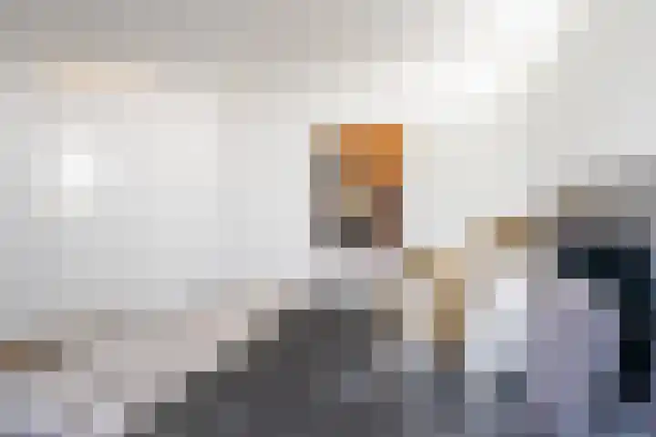 Panneboeter 16 Roosendaal thumbnail 23