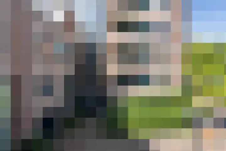 Panneboeter 8 Roosendaal thumbnail 13