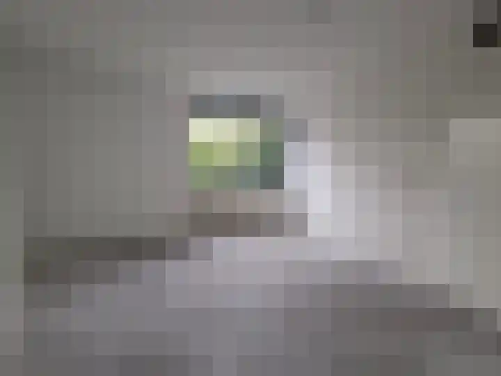 Panneboeter 8 Roosendaal thumbnail 8