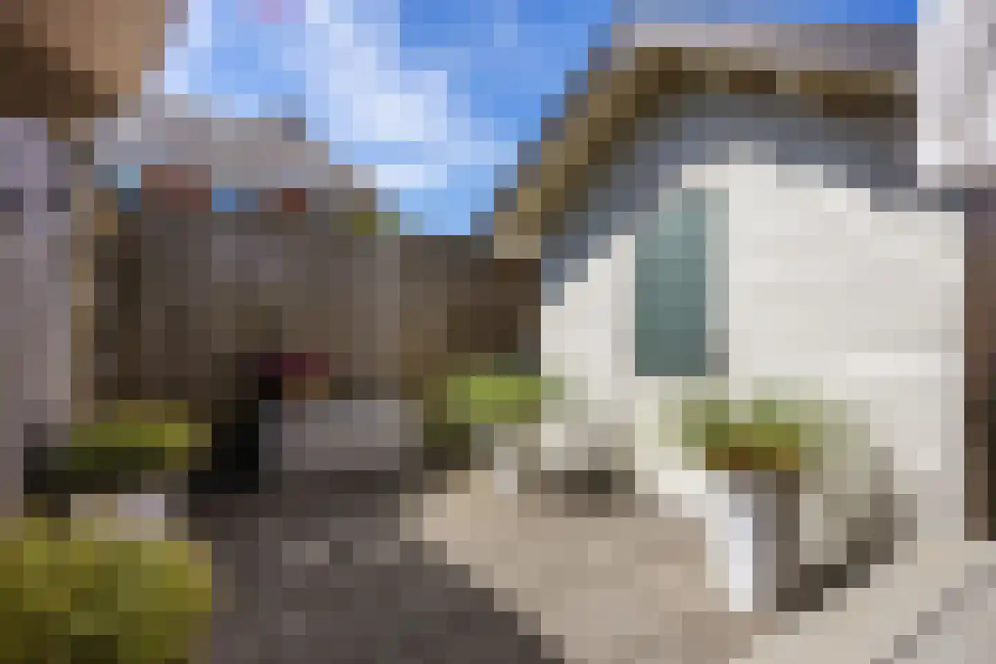 Pannegat 14 Harlingen thumbnail 40