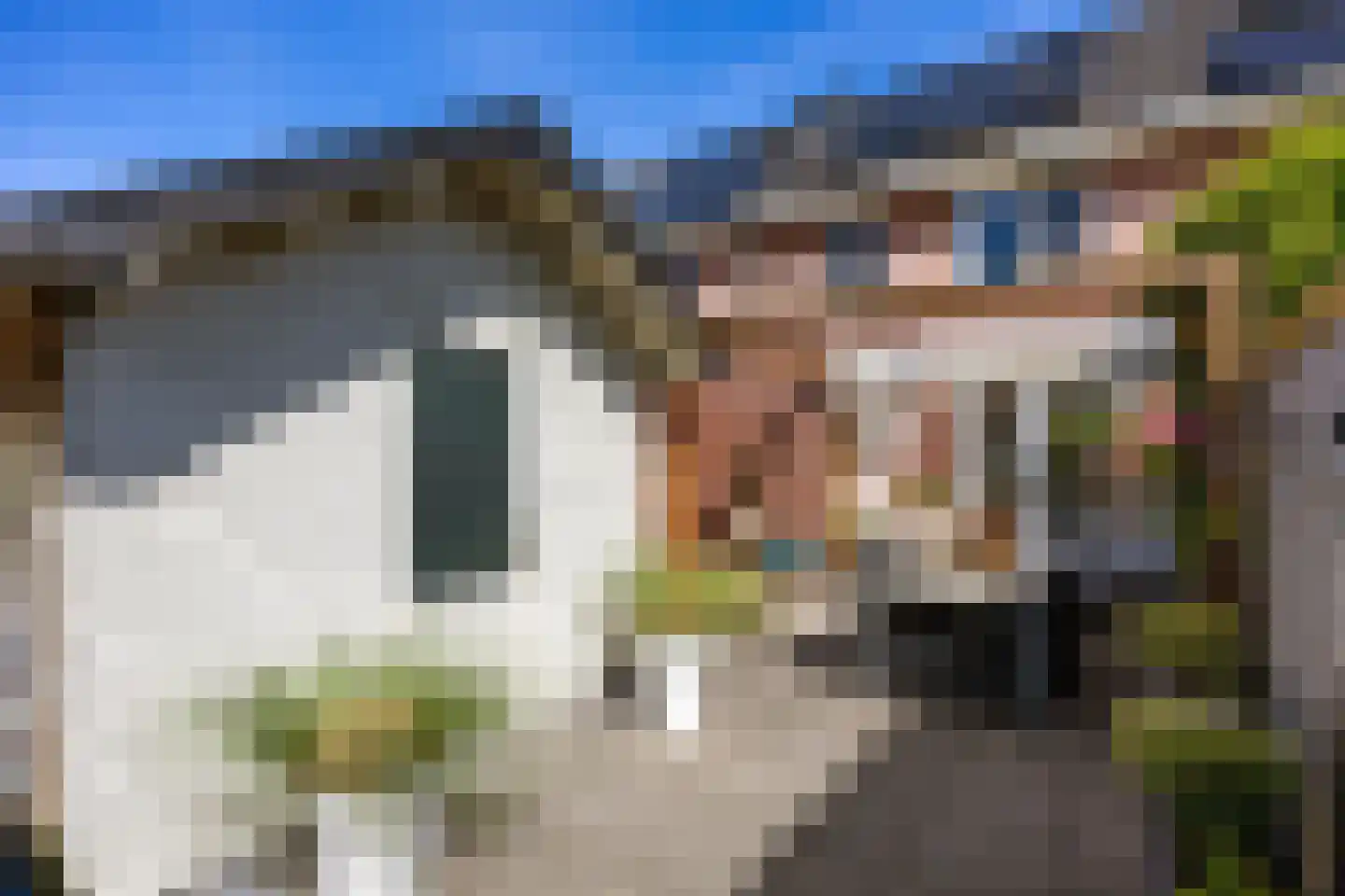 Pannegat 14 Harlingen thumbnail 41