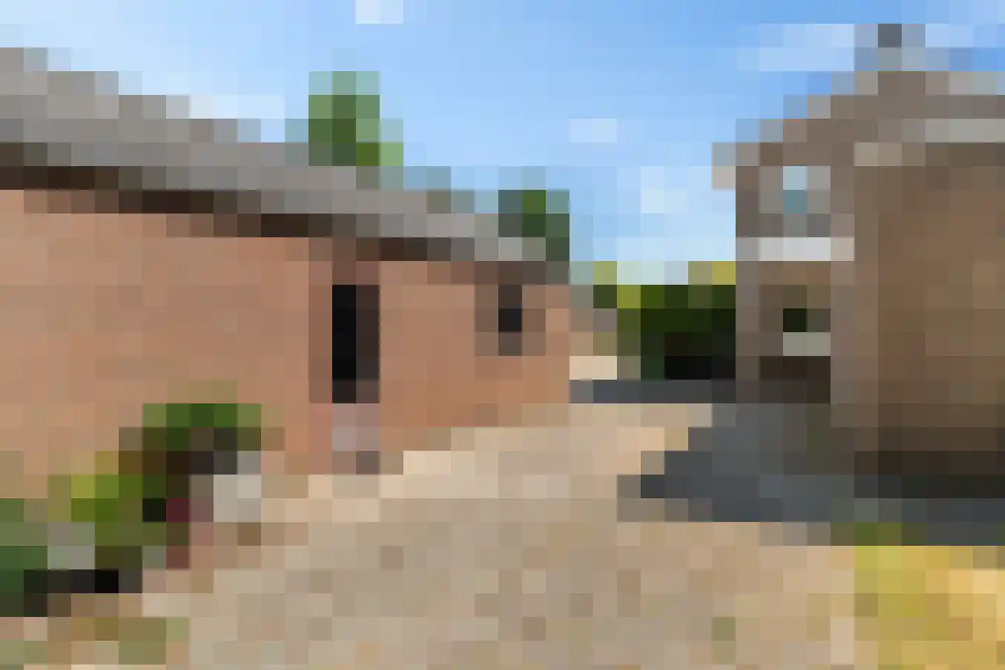 Pannekoekendijk 42 Erica thumbnail 29