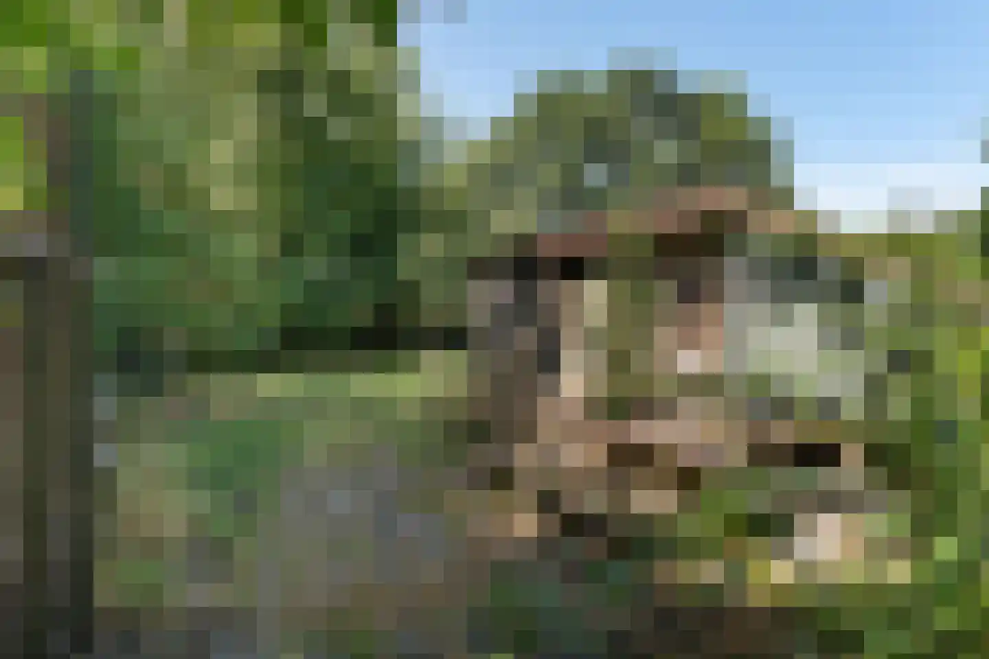 Pannekoekendijk 42 Erica thumbnail 35
