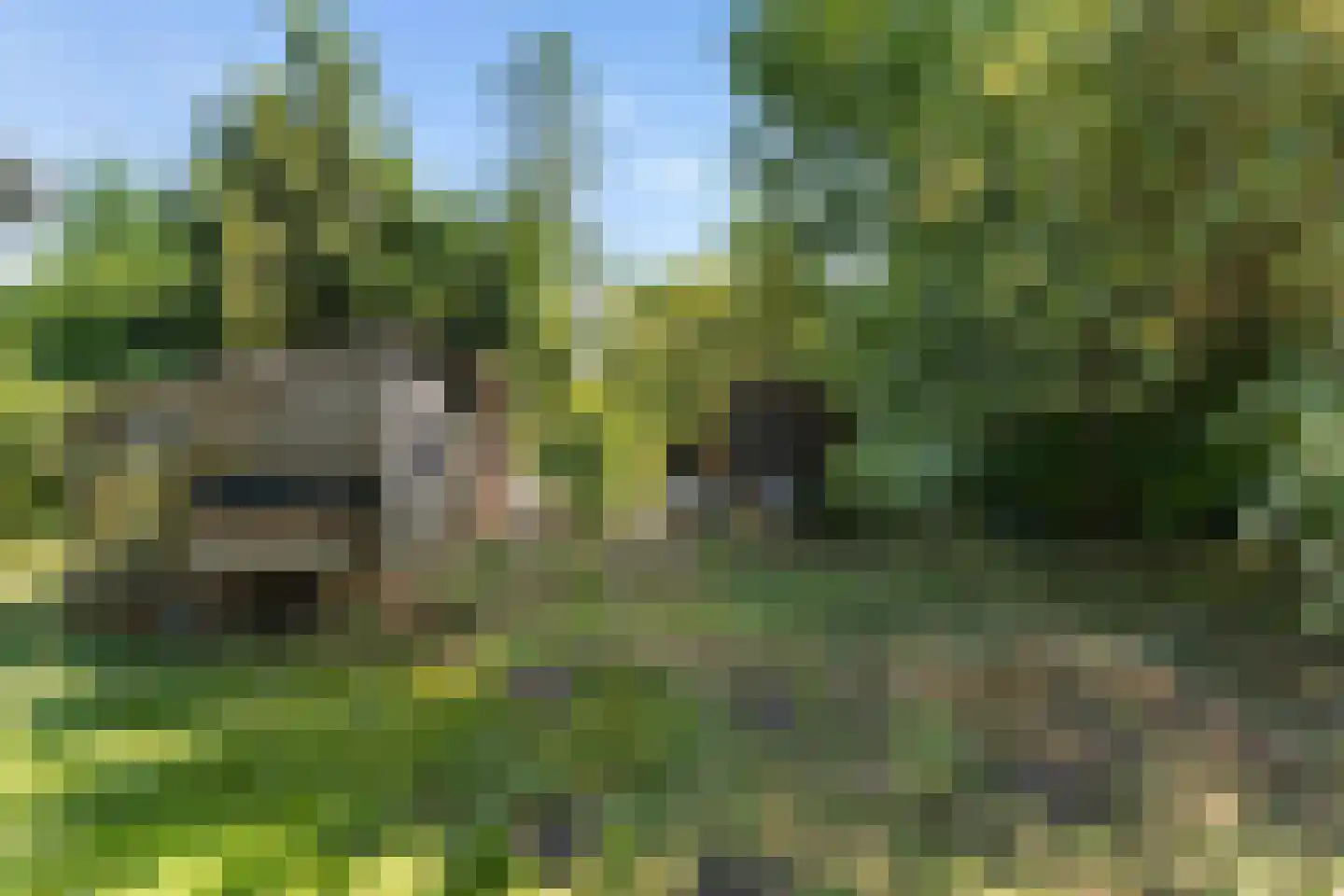 Pannekoekendijk 42 Erica thumbnail 36