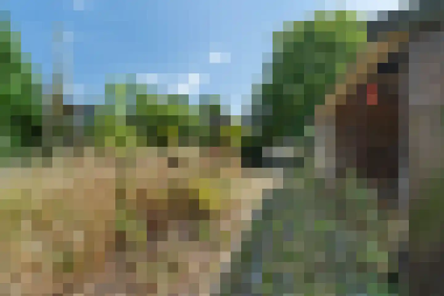 Pannekoekendijk 42 Erica thumbnail 37