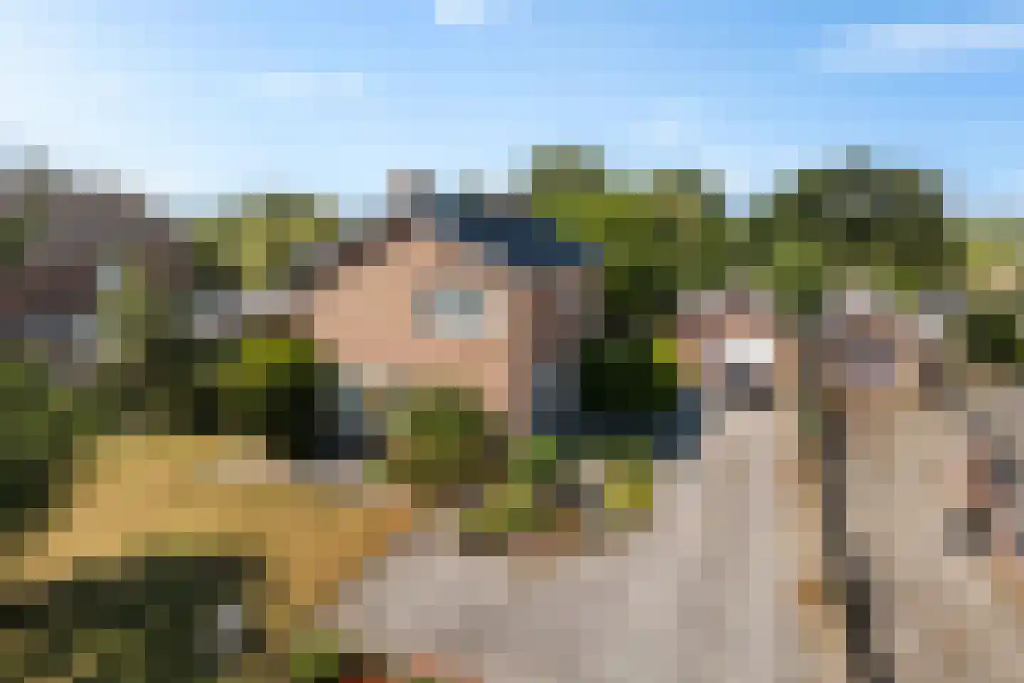 Pannekoekendijk 42 Erica thumbnail 41