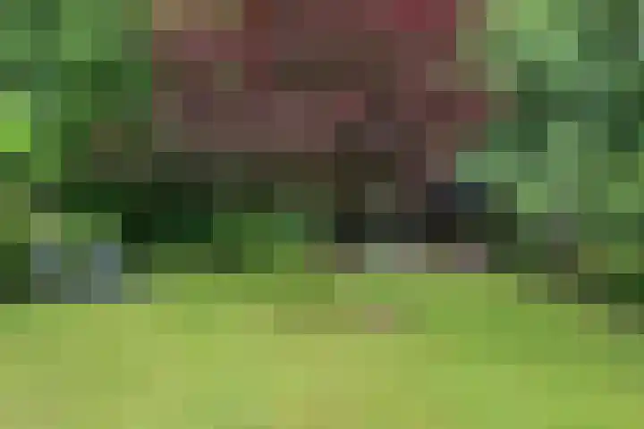 Pannekoekendijk 7 Erica thumbnail 35