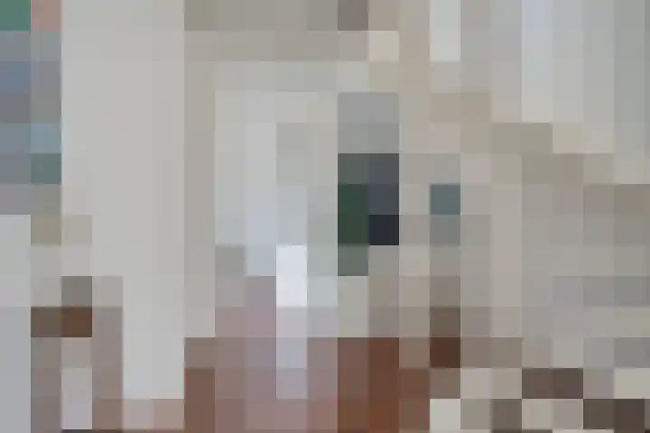 Pannekoekendijk 7 Erica thumbnail 4