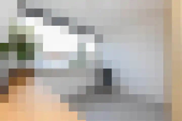 Pannekoekenkamp 2 Hattem thumbnail 24