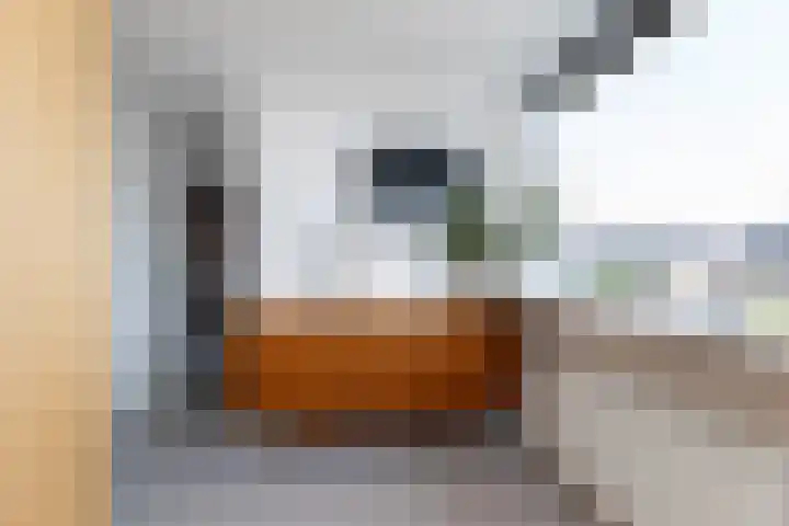 Pannekoekenkamp 2 Hattem thumbnail 25