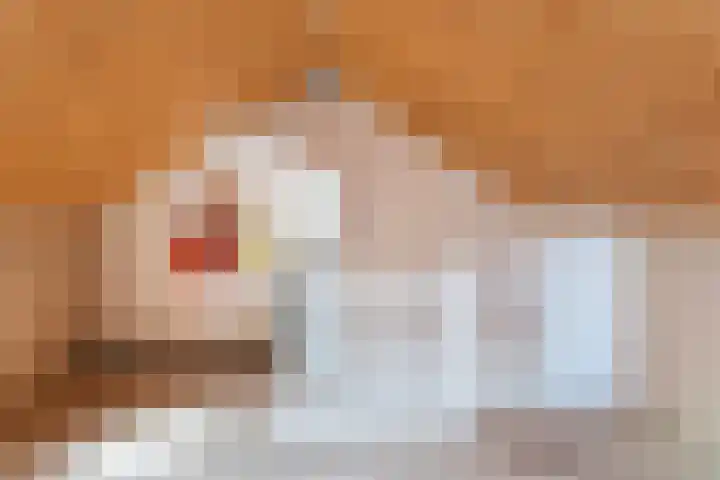Pannekoekenkamp 2 Hattem thumbnail 27