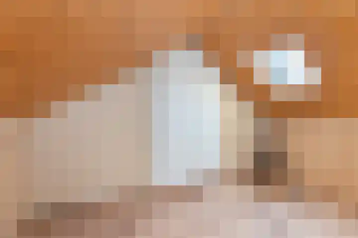 Pannekoekenkamp 2 Hattem thumbnail 28