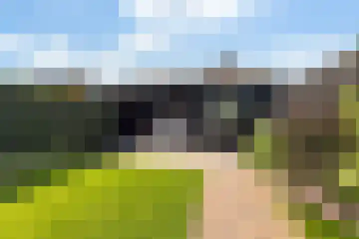 Pannekoekenkamp 2 Hattem thumbnail 30