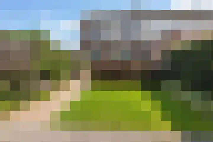Pannekoekenkamp 2 Hattem thumbnail 31