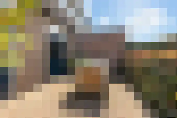 Pannekoekenkamp 2 Hattem thumbnail 32