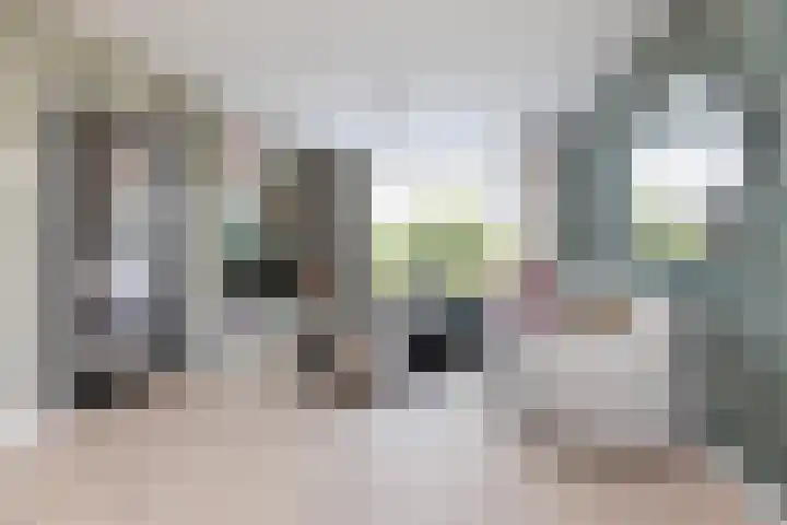 Pannekoekenkamp 2 Hattem thumbnail 8
