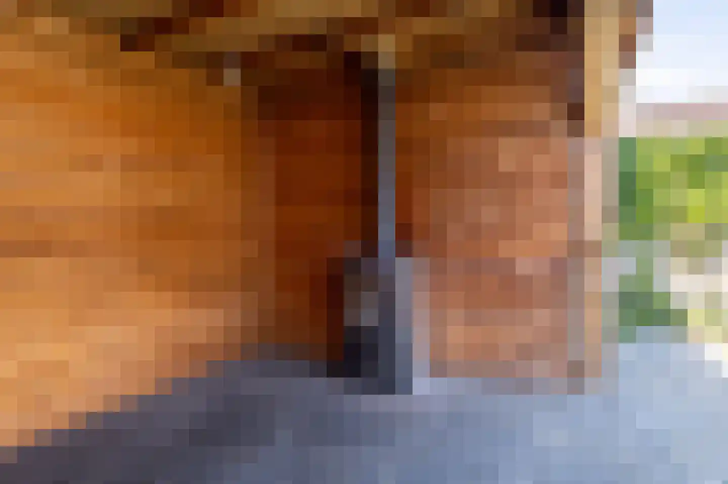 Pannekoekenkamp 4 Hattem thumbnail 17