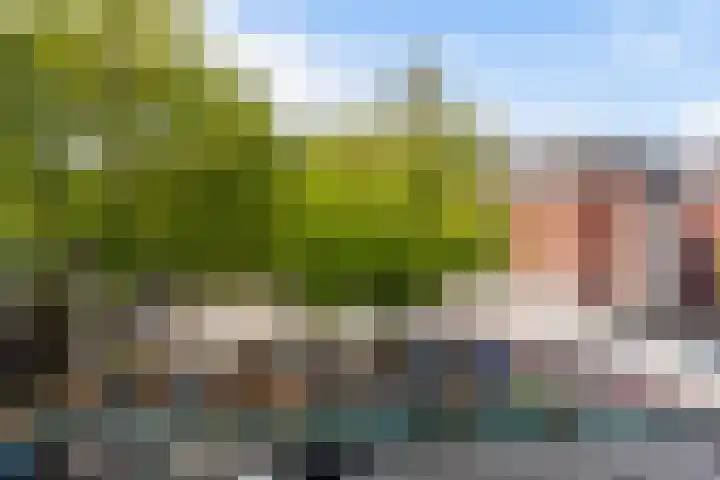 Pannekoekhof 72 C Rotterdam thumbnail 17