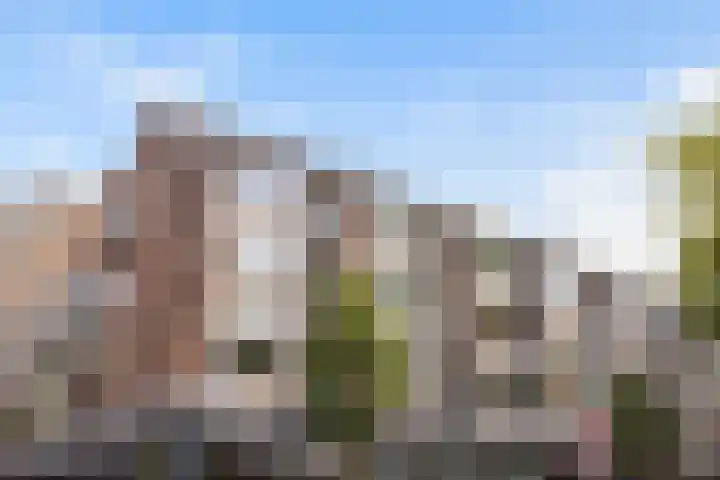 Pannekoekhof 72 C Rotterdam thumbnail 20