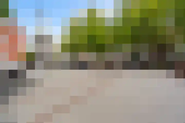 Pannekoekhof 72 C Rotterdam thumbnail 24