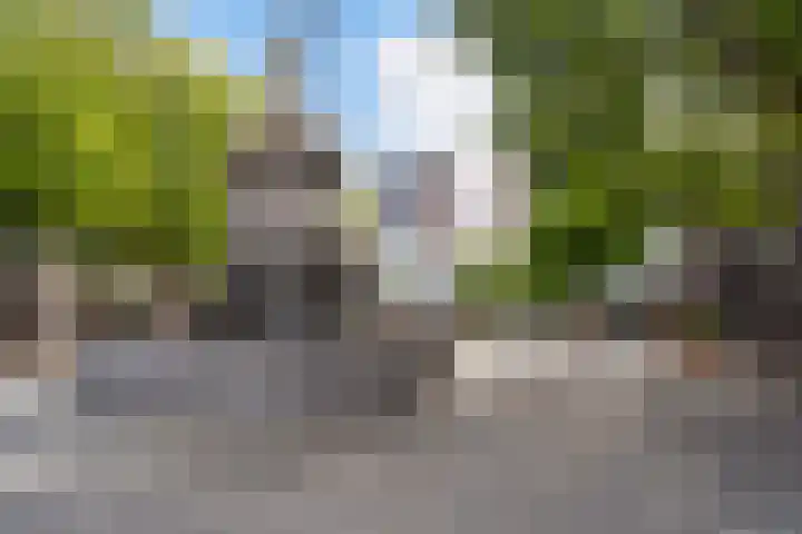 Pannekoekhof 72 C Rotterdam thumbnail 25