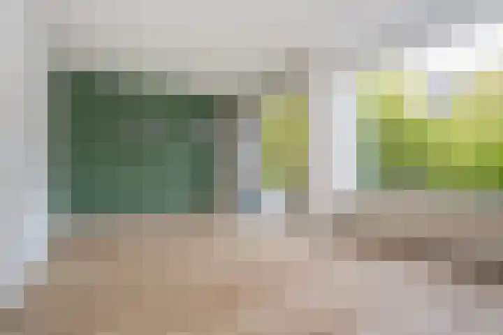 Pannekoekhof 72 C Rotterdam thumbnail 5